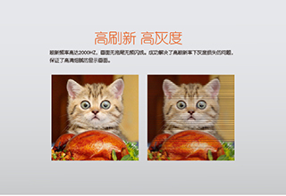 二氯甲烷可以應(yīng)用到哪些領(lǐng)域？